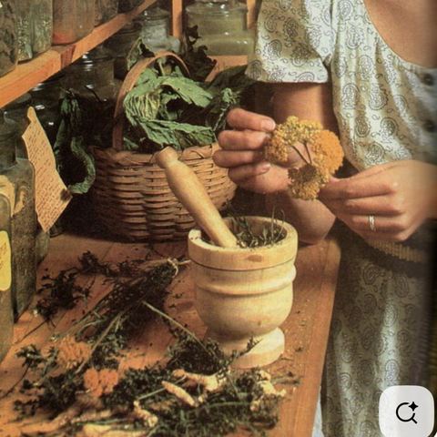 Something grandmother-style is about to happen 🌿  A little wisdom from the plants, a littl