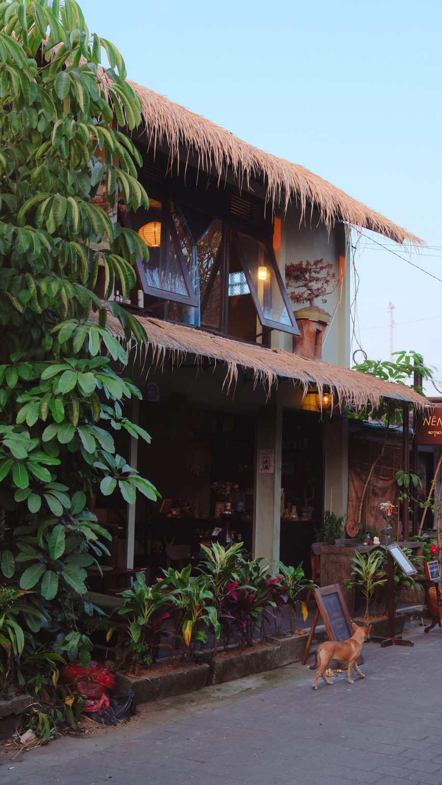 the house at dusk — the dog knows first